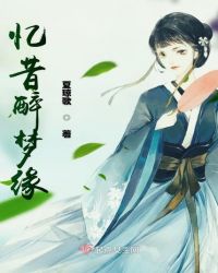 忆昔醉梦缘