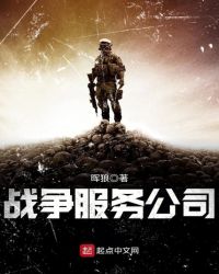 战争服务公司